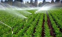سه میلیون هکتار از اراضی کشاورزی کشور به سیستم آبیاری نوین مجهز است/ هدفگذاری تجهیز سالانه ۳۵۰ هزار هکتار از اراضی کشاورزی به سامانه‌های نوین آبیاری 